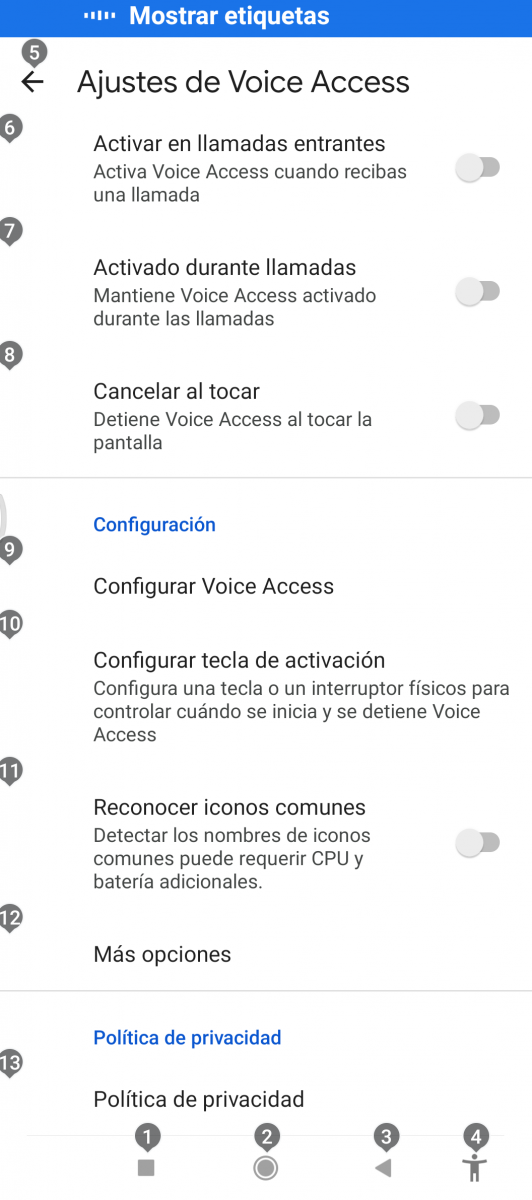 Imagen de los ajustes de Voice Access con etiquetas sin activar la opción "Reconocer iconos comunes"