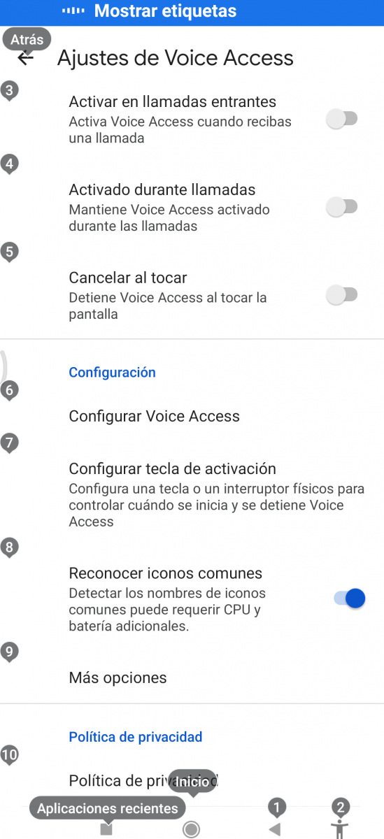 Imagen de los ajustes de Voice Access con etiquetas activando la opción "Reconocer iconos comunes"