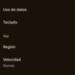 Se muestra la página de ajustes, desde donde se puede acceder, de arriba a abajo, a: Tocar para traducir, uso de datos, teclado, región, velocidad y entrada por voz. Además, en la zona inferior se encuentra un botón con el nombre "borrar", con el cuál se elimina el historial.