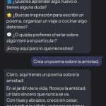 Se muestra una conversación con luzia donde , en la parte izquierda está los mensajes de Luzia y en la derecha están lo de las persona usuaria. En la conversación mostrada se la pide hacer un poema de la amistad